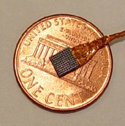 Photo of Brain Chip